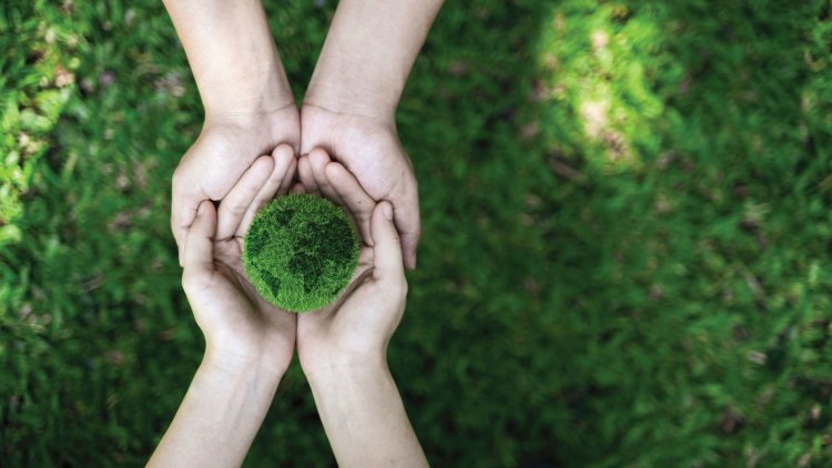 The Path to Net Zero: A special report to mark Net Zero Week 2023