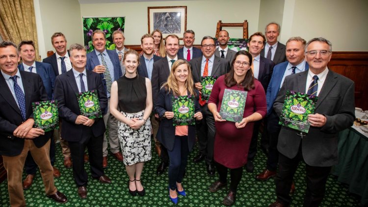 How MPs can get behind British blackcurrant growers this harvest season