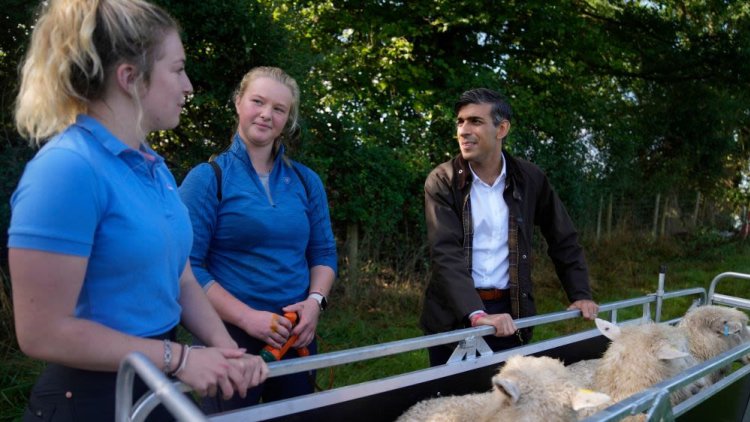 An Unofficial Election Campaign Has Begun And Rishi Sunak's Net Zero Gamble Is Just The Start