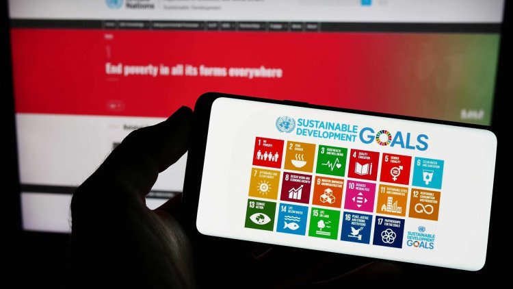 Sustainable Development Goals must guide all decision making