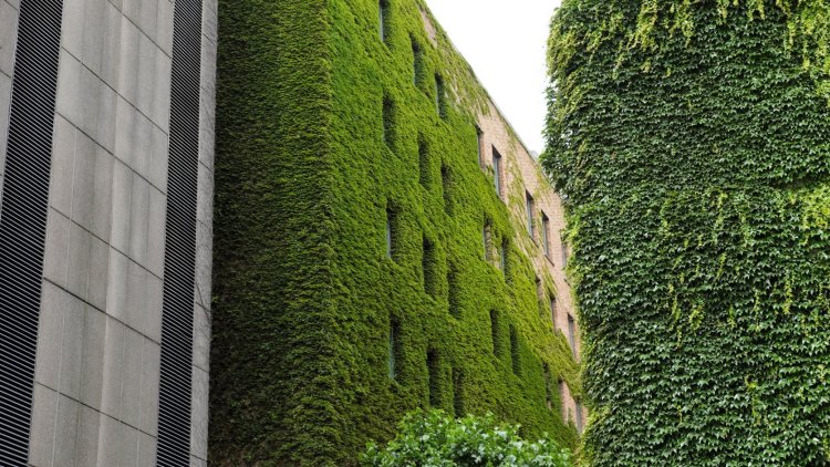 Transforming our urban spaces through design