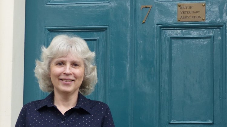 “We need to build a profession that attracts and holds on to our people,” says new BVA President Anna Judson