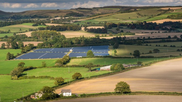 Next steps for nature: Implementing Biodiversity Net Gain