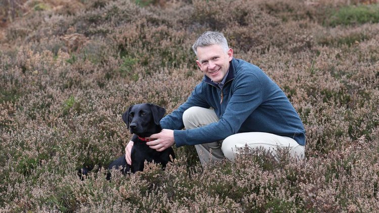 #BVAManifesto – a manifesto for animals, vets and public health