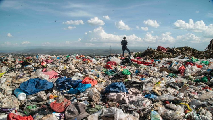 Accelerating the fight against global plastic pollution: Launch of the Revolution Plastics Institute