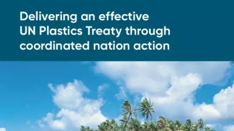 Seven building blocks for a successful National Action Plan to address plastic pollution