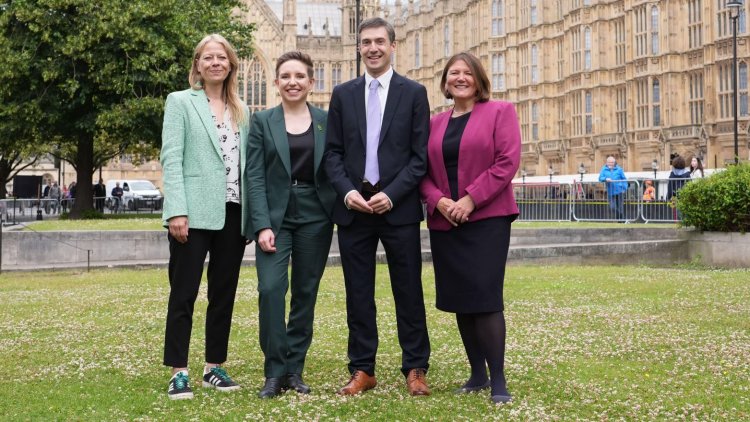Green Shoots: How the Green Party made gains in 2024