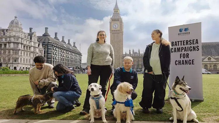 What Battersea wants to see in the first 100 days of the new government