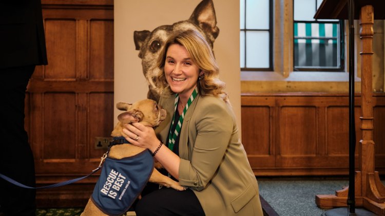 Bringing Battersea to the new Parliament