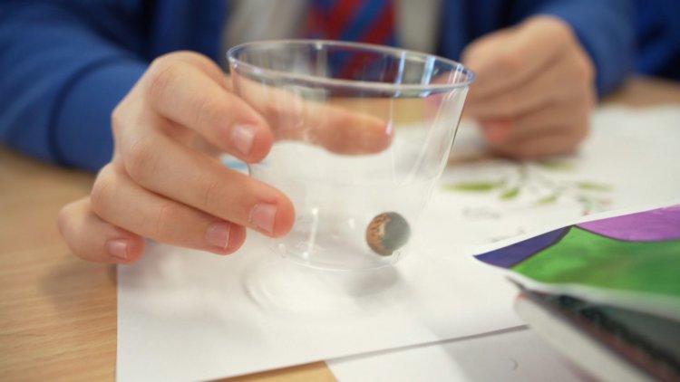 Curiosity and interest in science for a brighter future