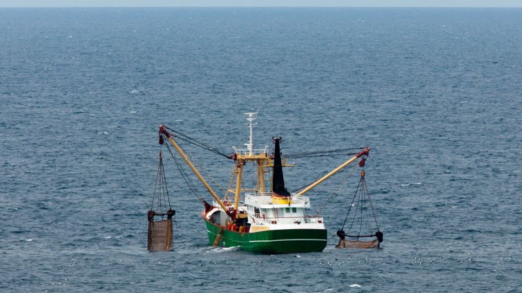 How to save over £3bn? Save our seas