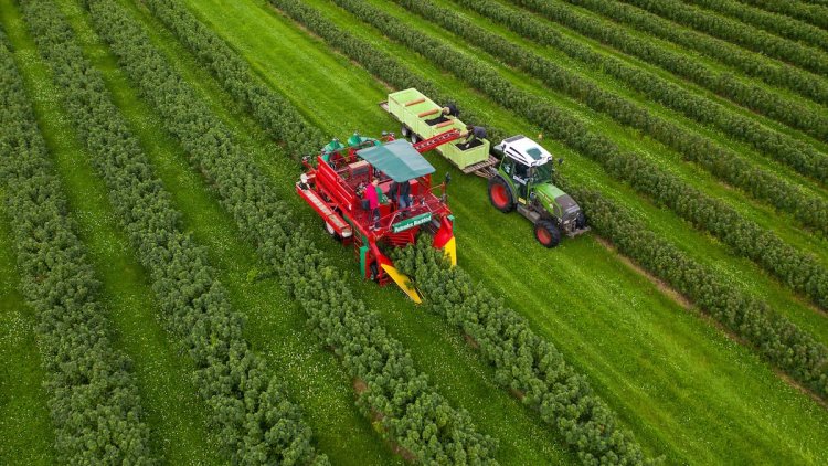 Back British agriculture and brands through stable public health policy