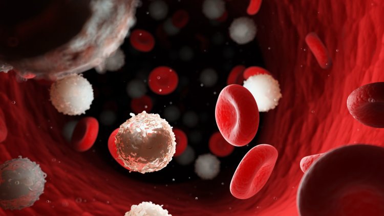 Spotlighting the hidden challenges facing people living with blood cancer