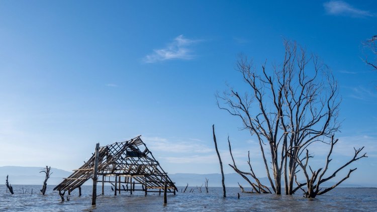 Private investment is vital to effective aid spending