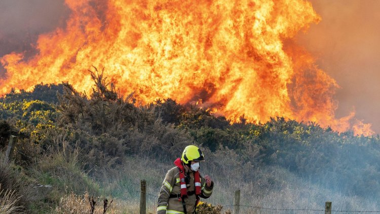 Heatwaves Are Now Routine – So, How Are We Going To Adapt?