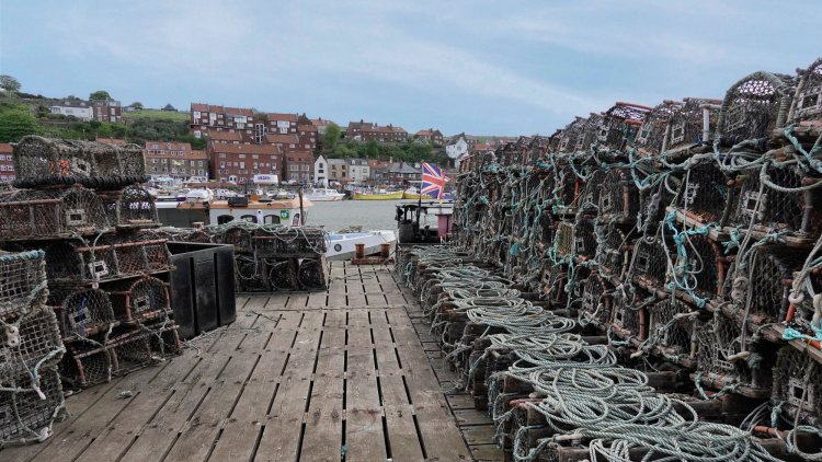 It’s time ministers saw our ability to feed ourselves from the sea as a strategic asset