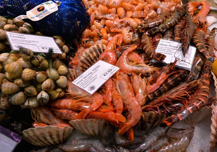 Centuries Old Shellfish Traders Are Facing Collapse After EU Exports Are Banned Altogether - Vimarsana News