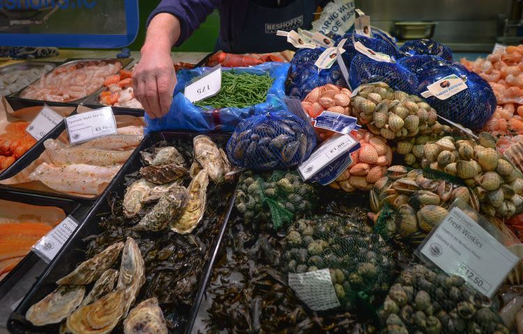 Exclusive: EU Says A Post-Brexit Shellfish Export Ban Is Indefinite, After Government Claimed It Was Only Temporary - Vimarsana News