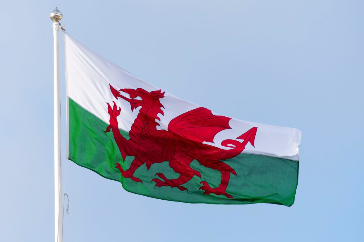 Splitting headache: Wales must guard against nationalist rhetoric - Vimarsana News