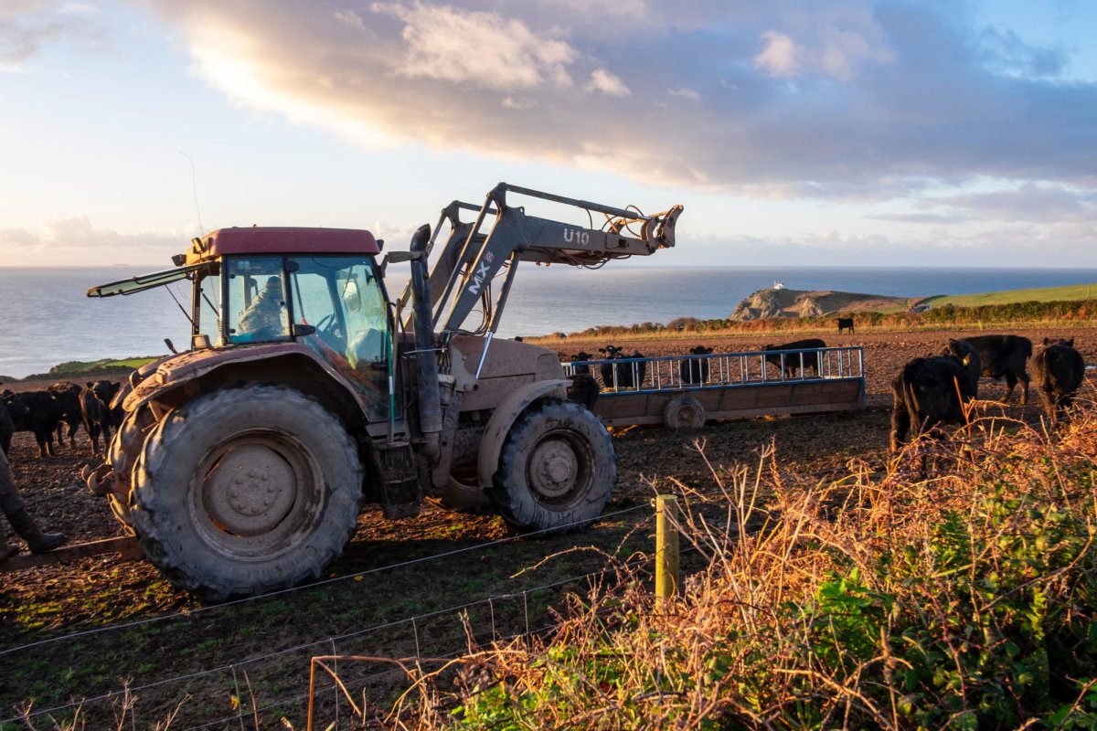The House Opinion Article | Farmers can be the heroes of a greener world