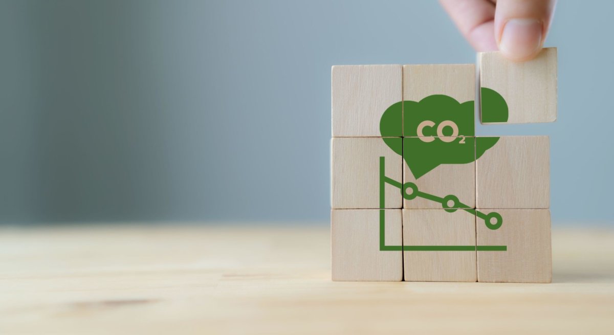 The House Opinion Article | We should regulate the Voluntary Carbon Market
