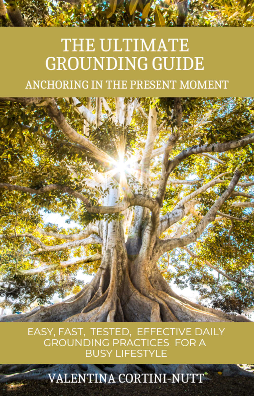 The Ultimate Grounding Guide
