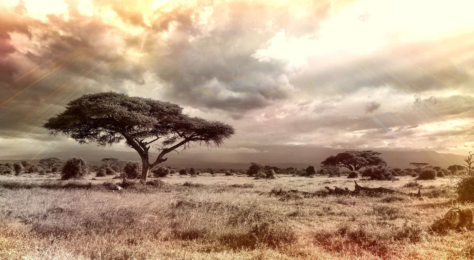 African landscape