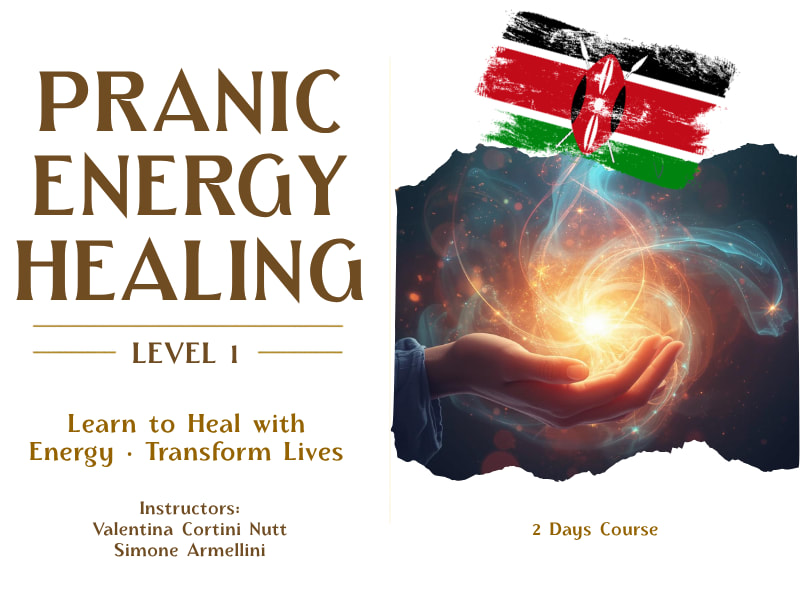 Pranic Energy Healing Level 1