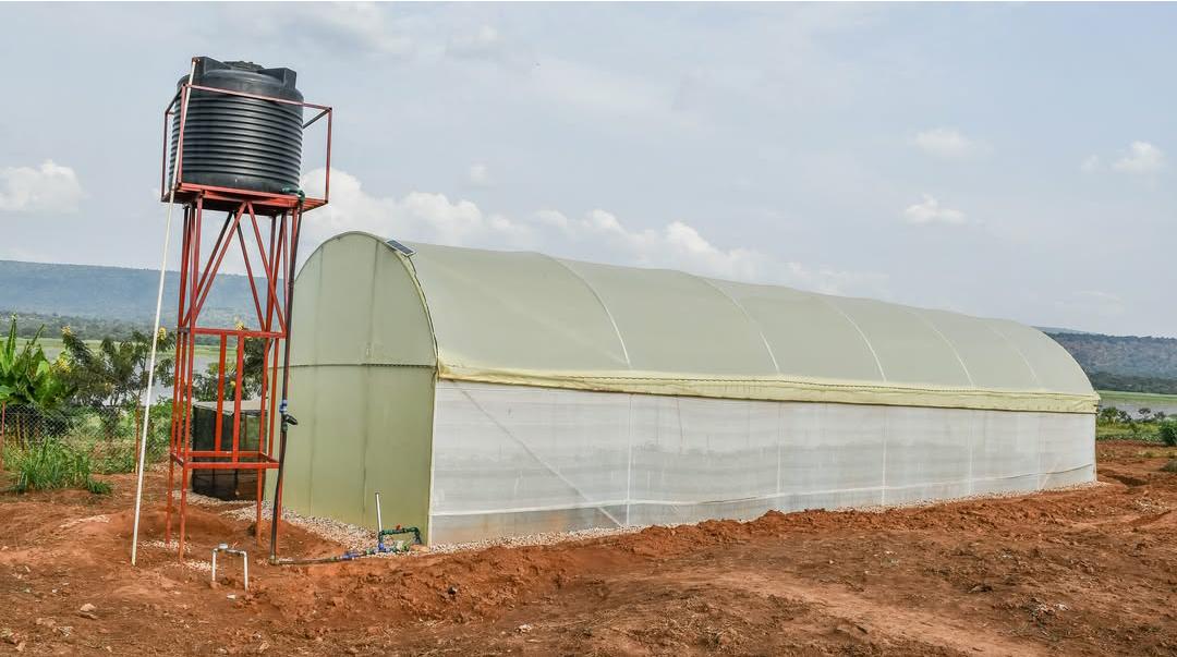 Smart Greenhouse