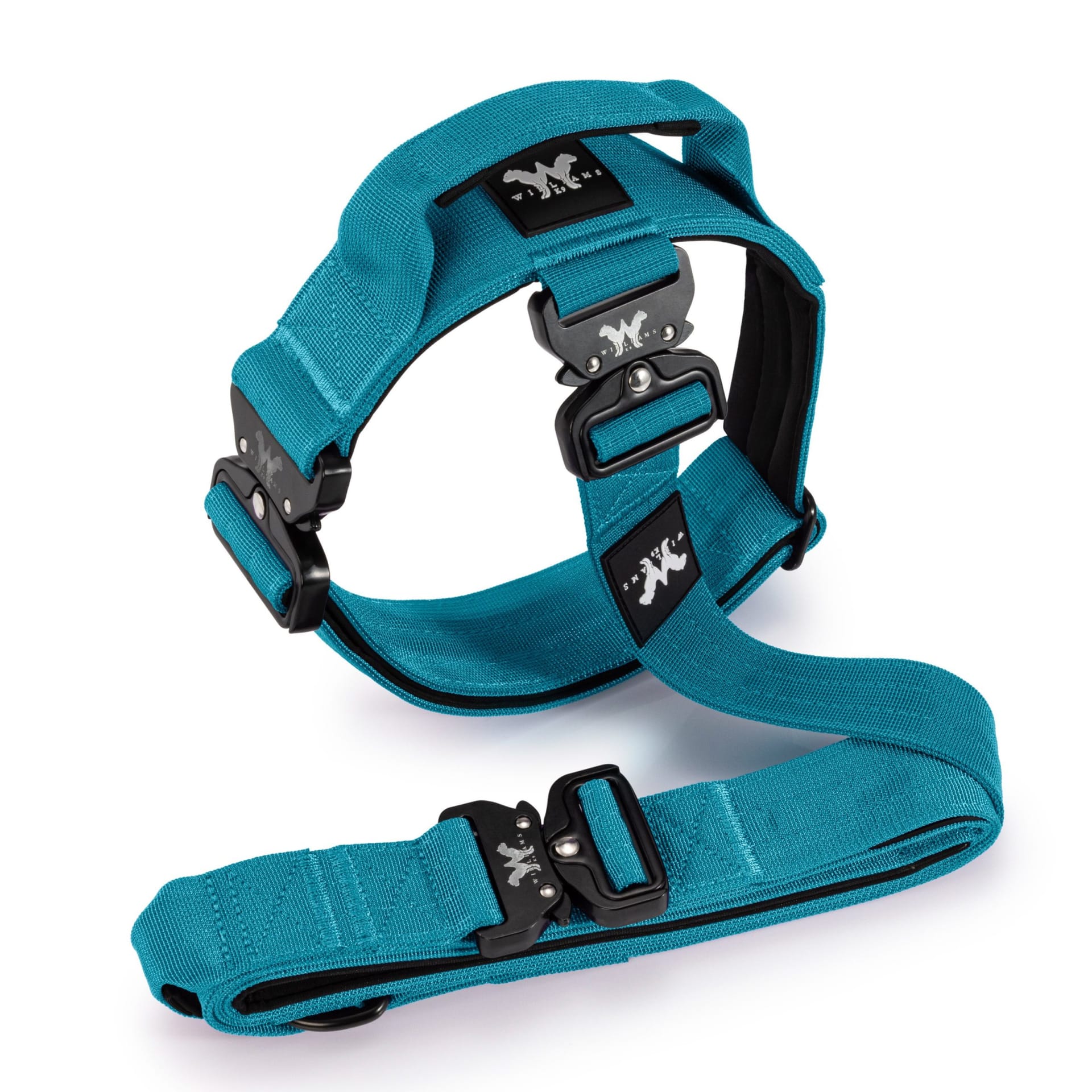 Teal dog harness and collar set packshot on white - pet product photography UK