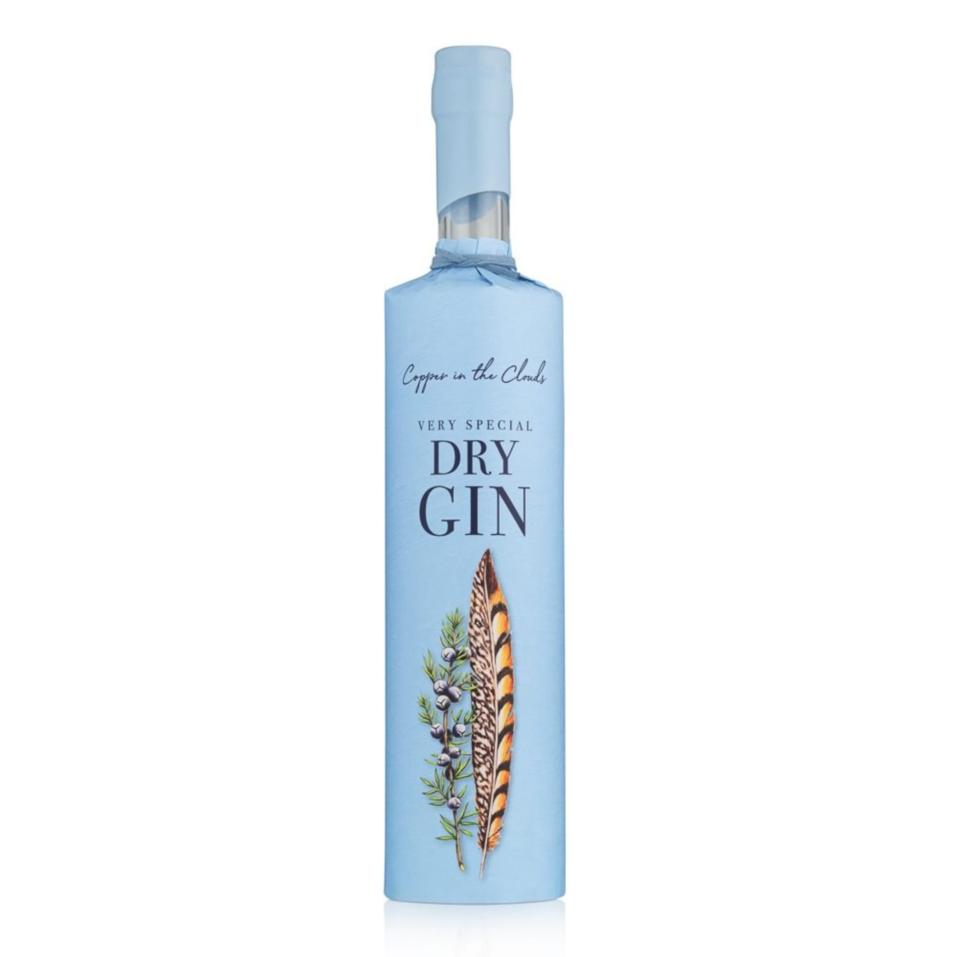 Gin bottle packshot on a white background