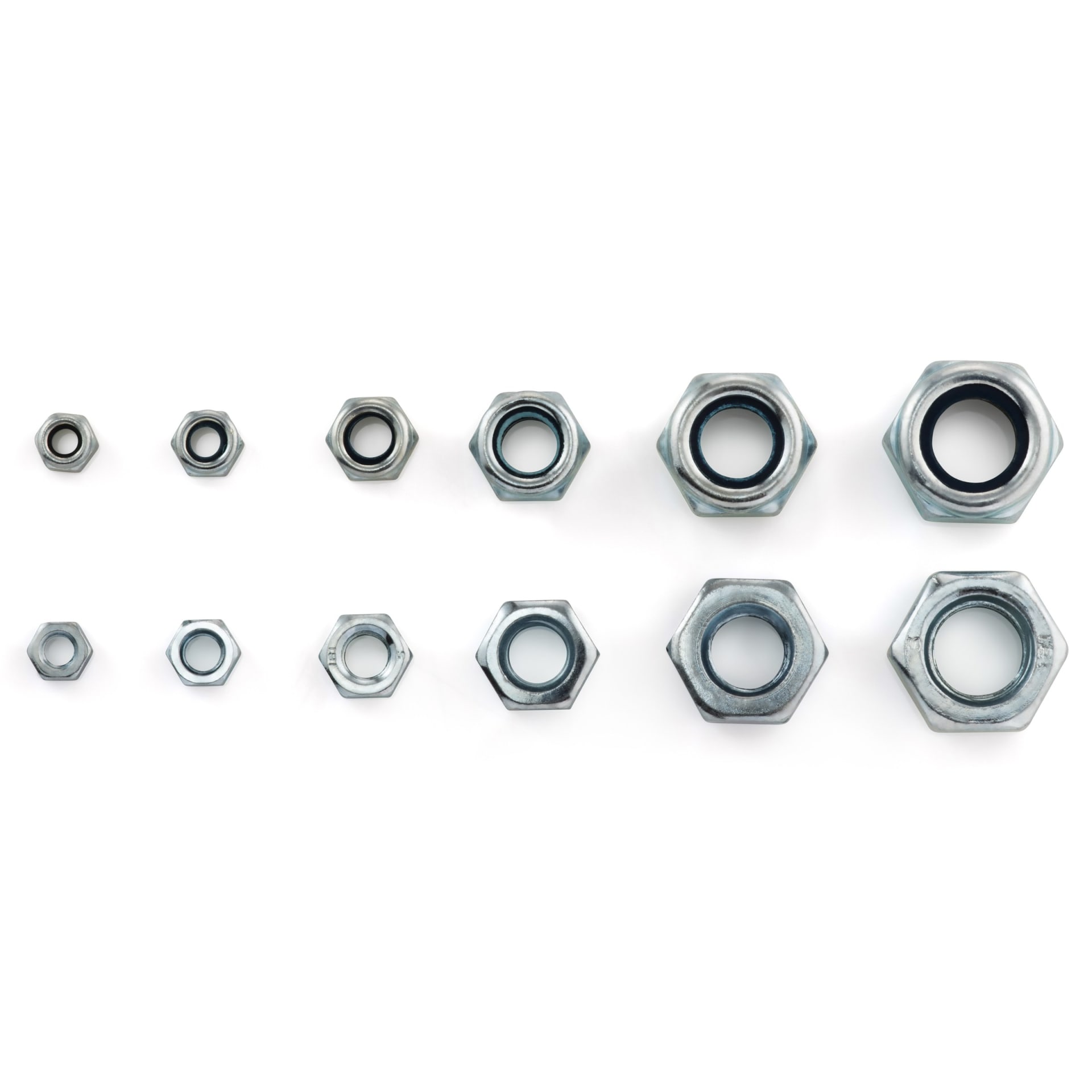 Two rows of zinc-plated hex nuts and nylon lock nuts arranged by size on white