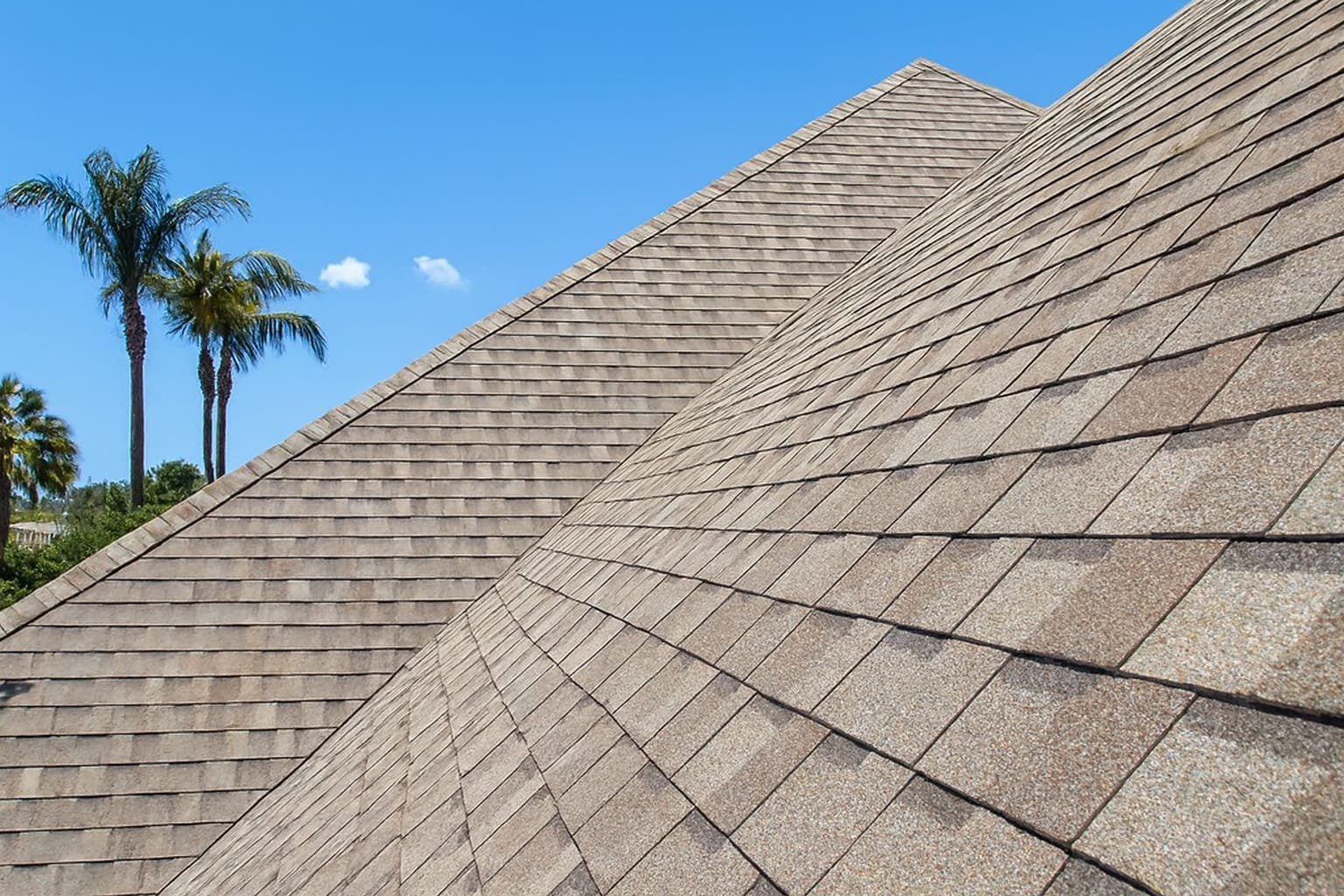Lionz Roofing crew in Coral Springs