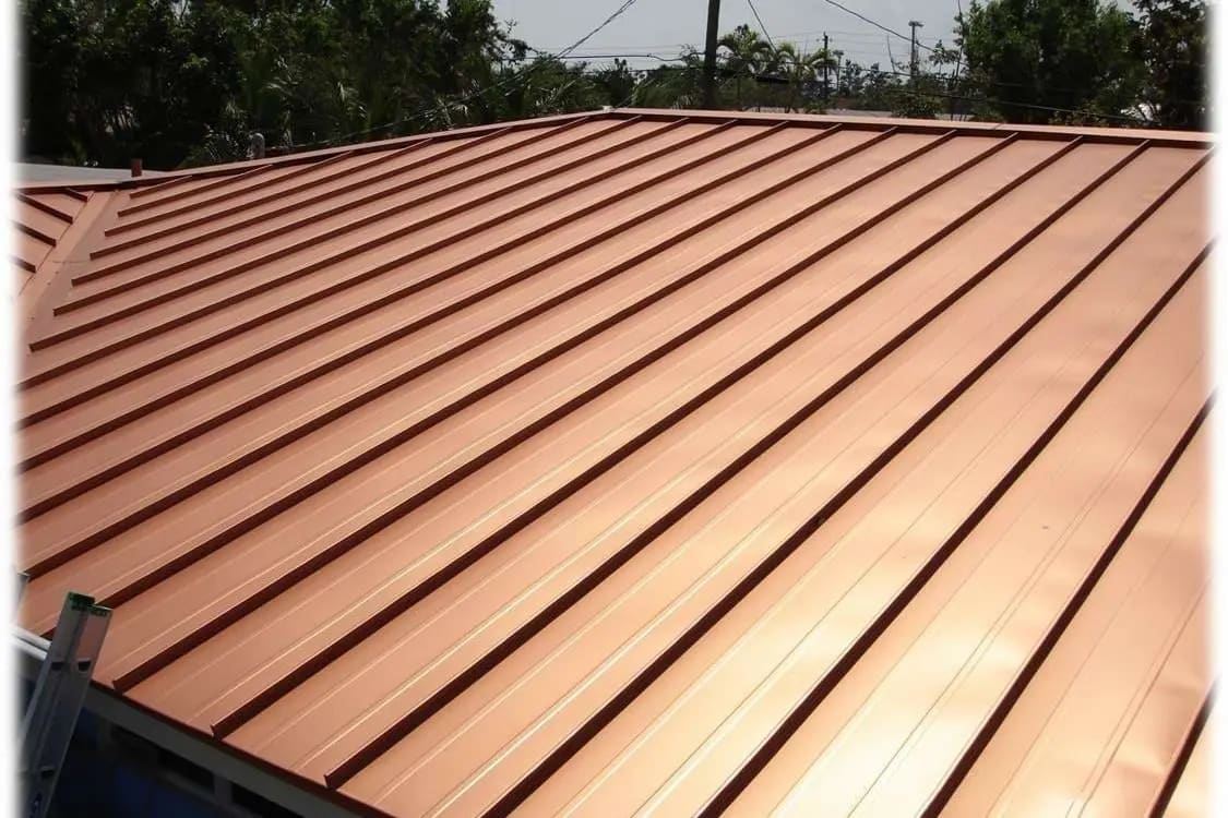 Metal roofing South Florida — standing seam panels by Lionz Roofing