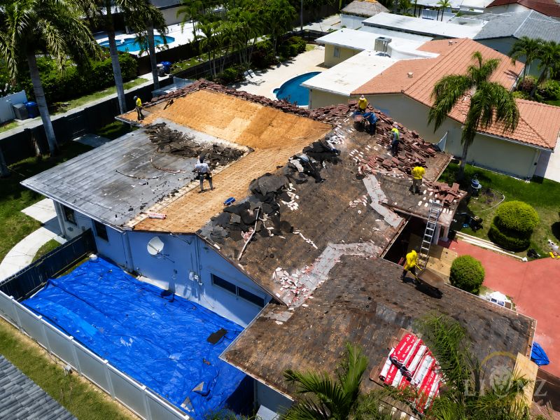 During — photo 2