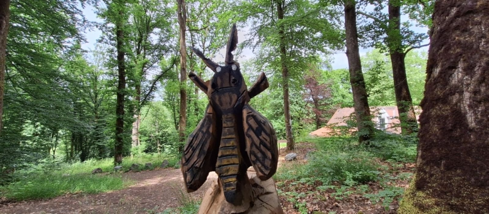 FÊTE DE L'ABEILLE ET DE LA BIODIVERSITÉ 