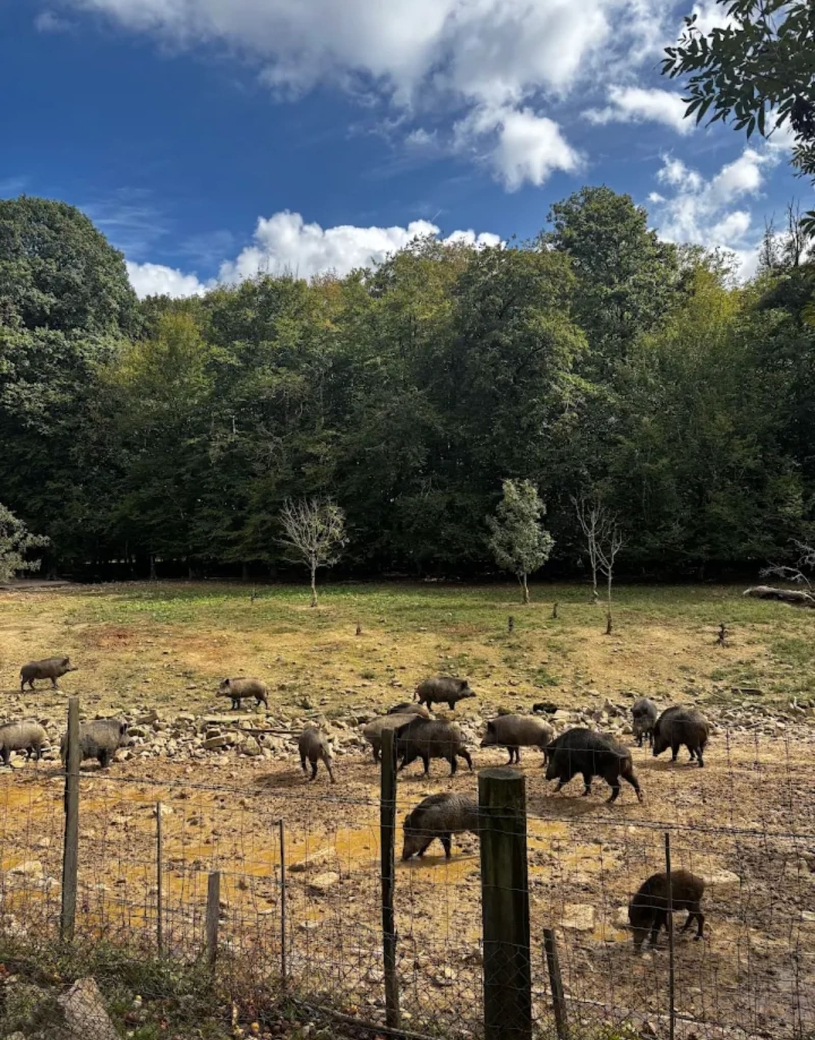 PARC DE VISION DU BANNEY