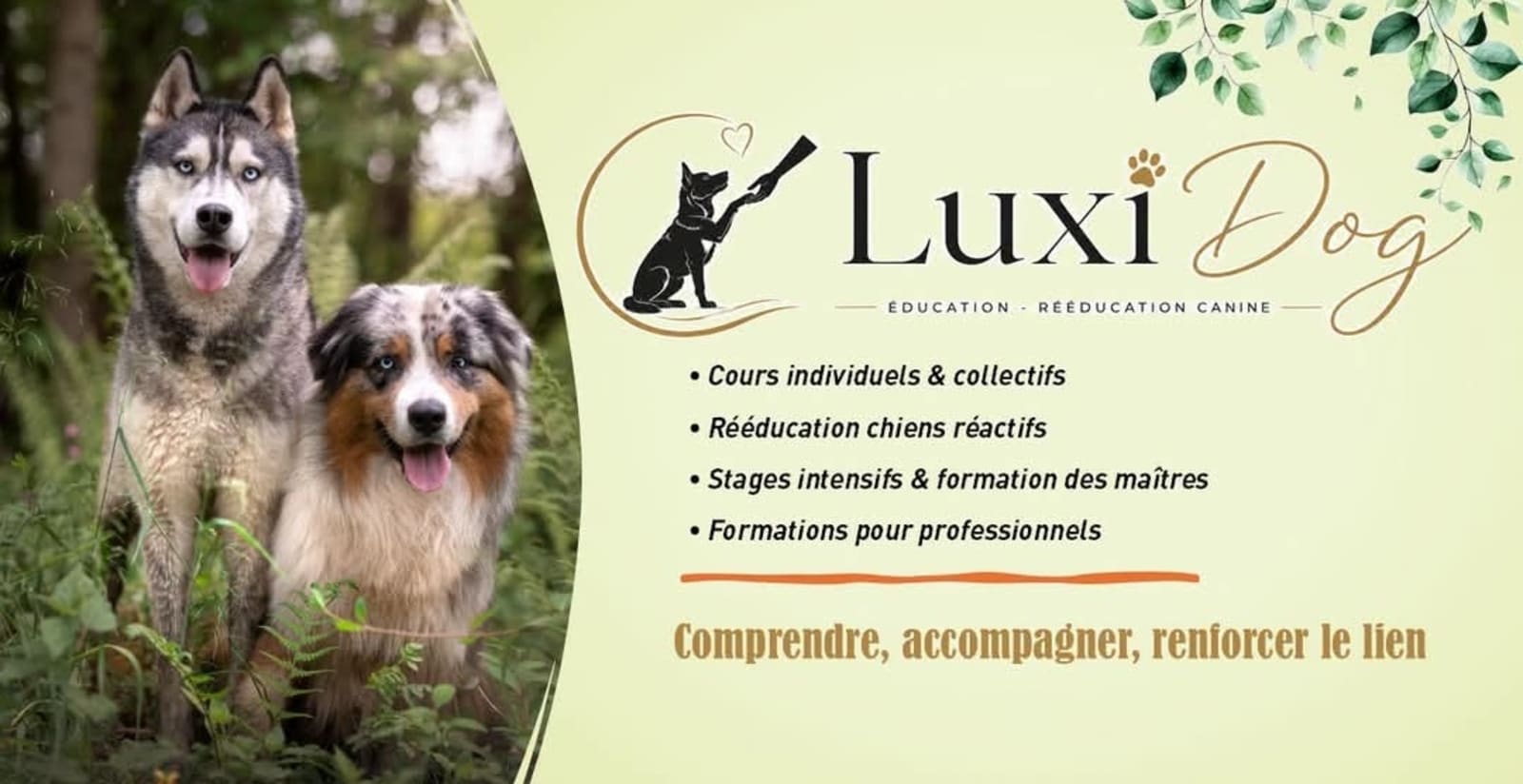 LUXI DOG