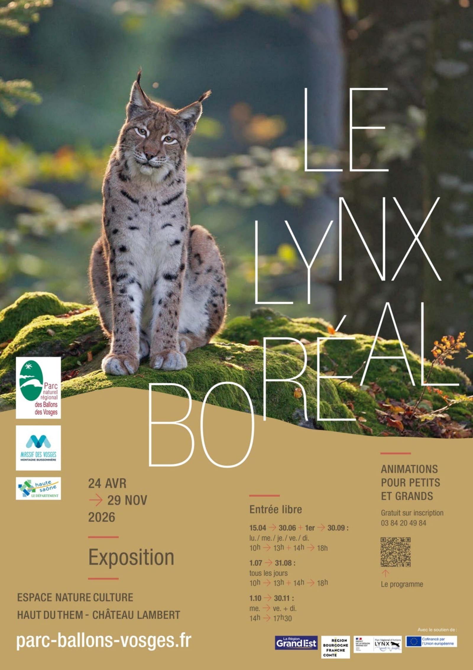 Sur la piste du Lynx