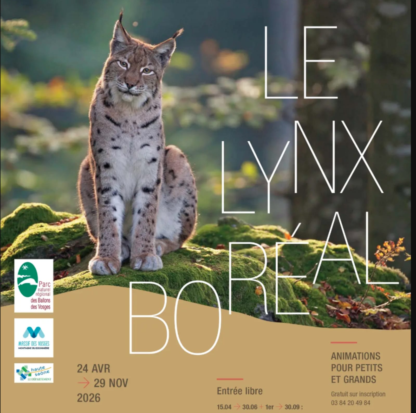 Projection - Débat du film « Chasseurs-proies-lynx »