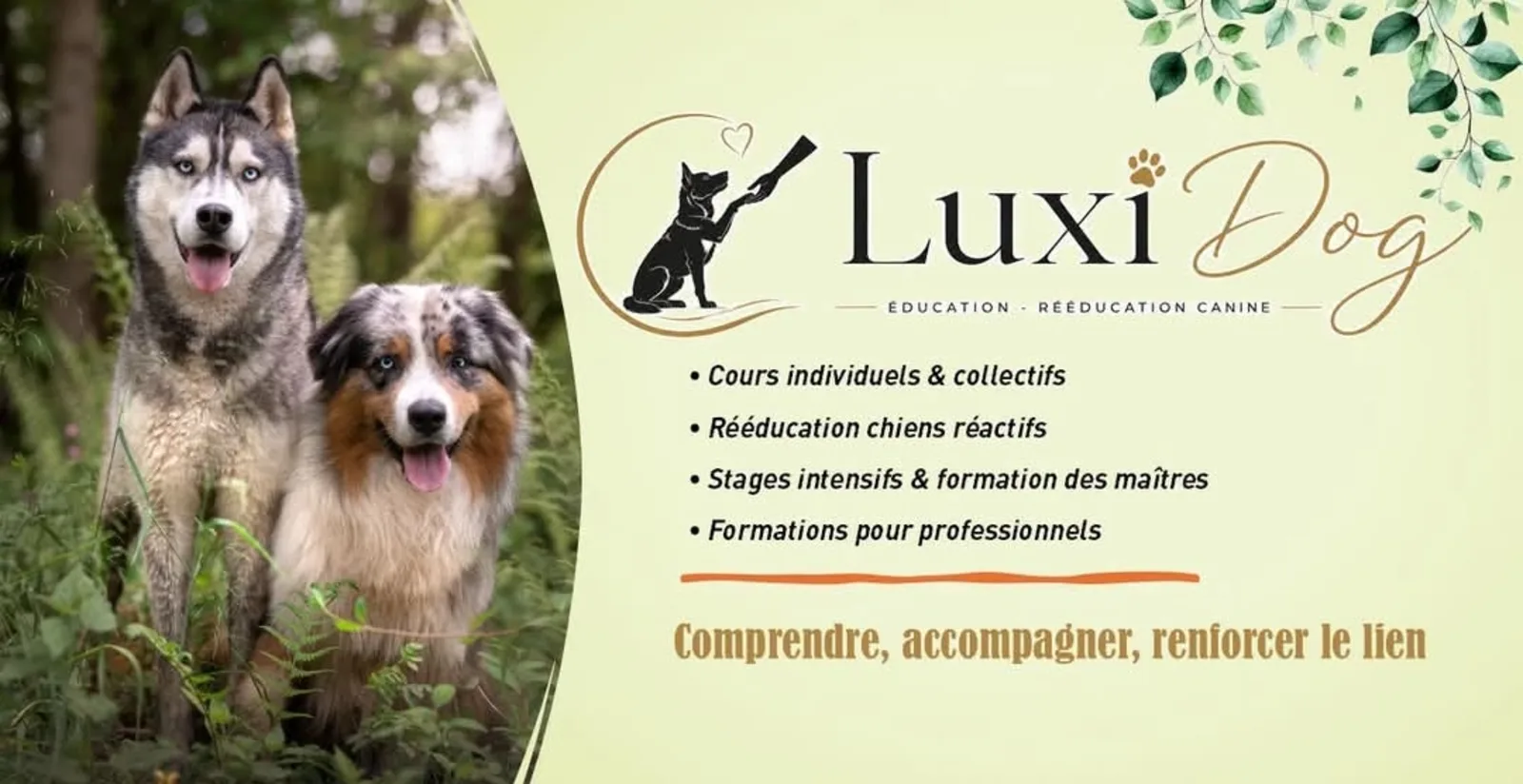 LUXI DOG