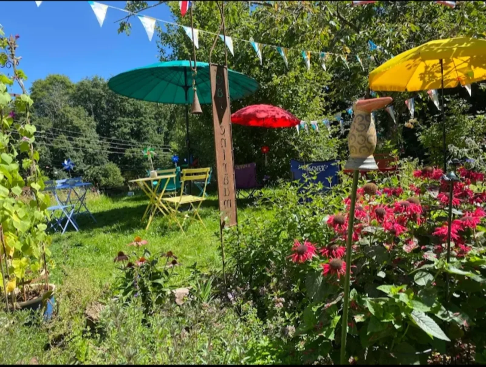 Buvette au vieux renard