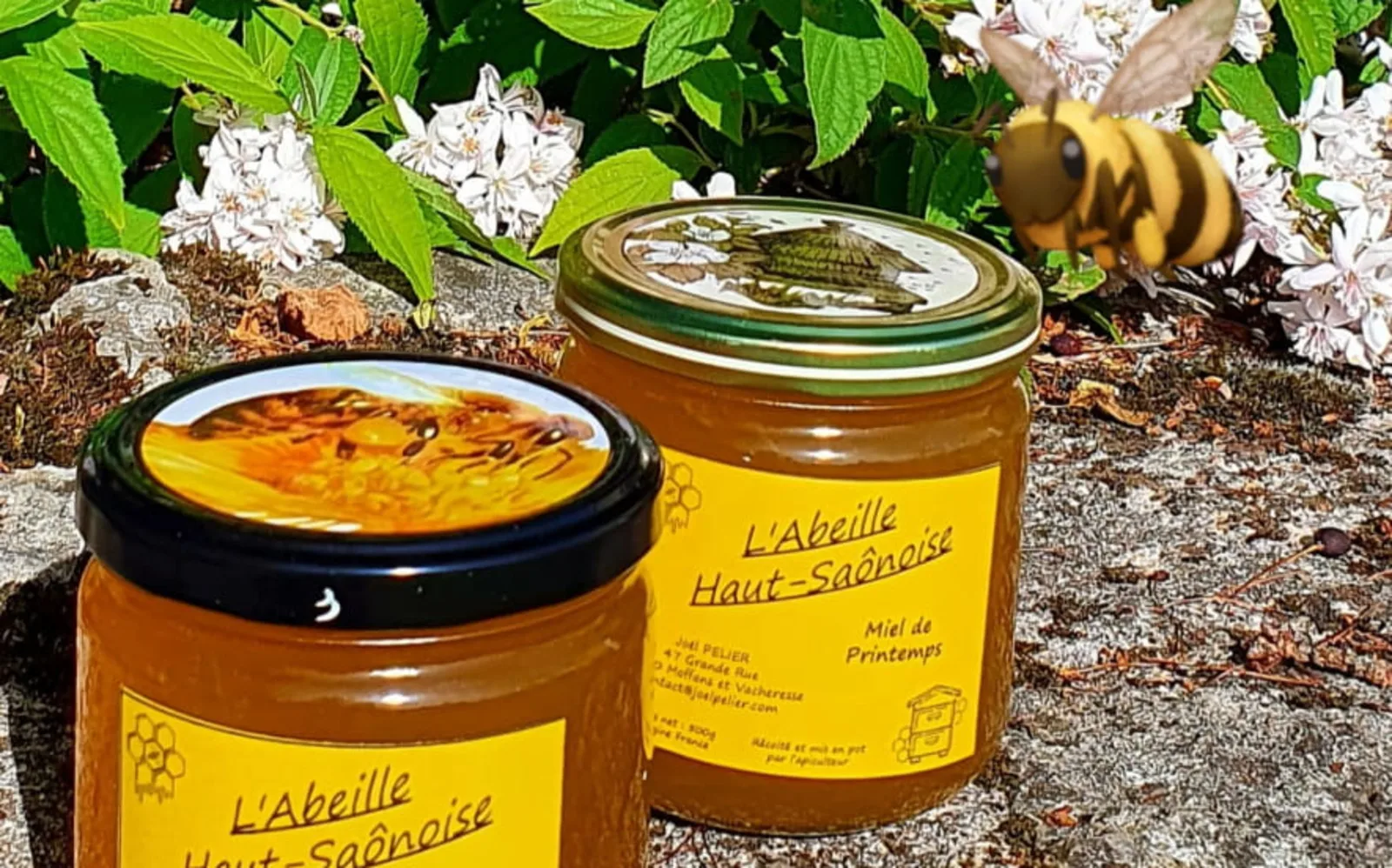 L’Abeille Haut-Saônoise