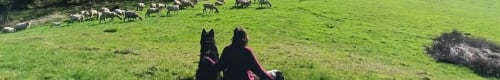 LA FERME DE LA HEUTOTE 