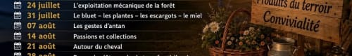Marchés nocturnes du Girmont-Val-d'Ajol