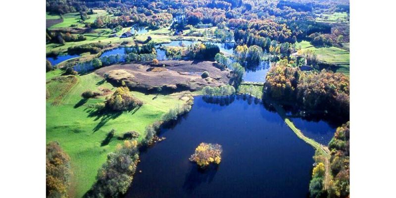 Les forêts du Plateau des mille étangs