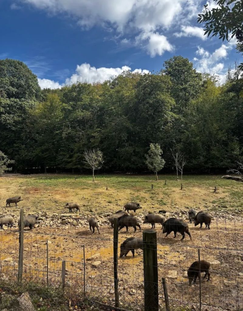 PARC DE VISION DU BANNEY