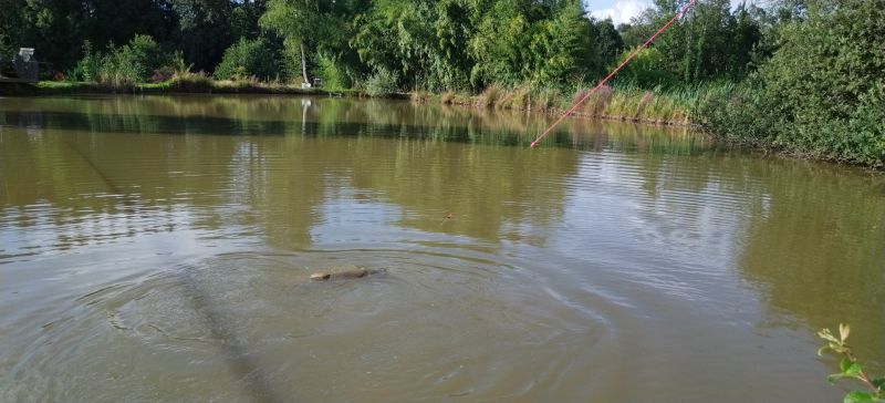 Concours de pêche