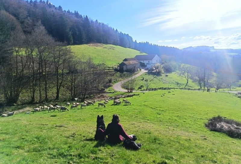 LA FERME DE LA HEUTOTE 