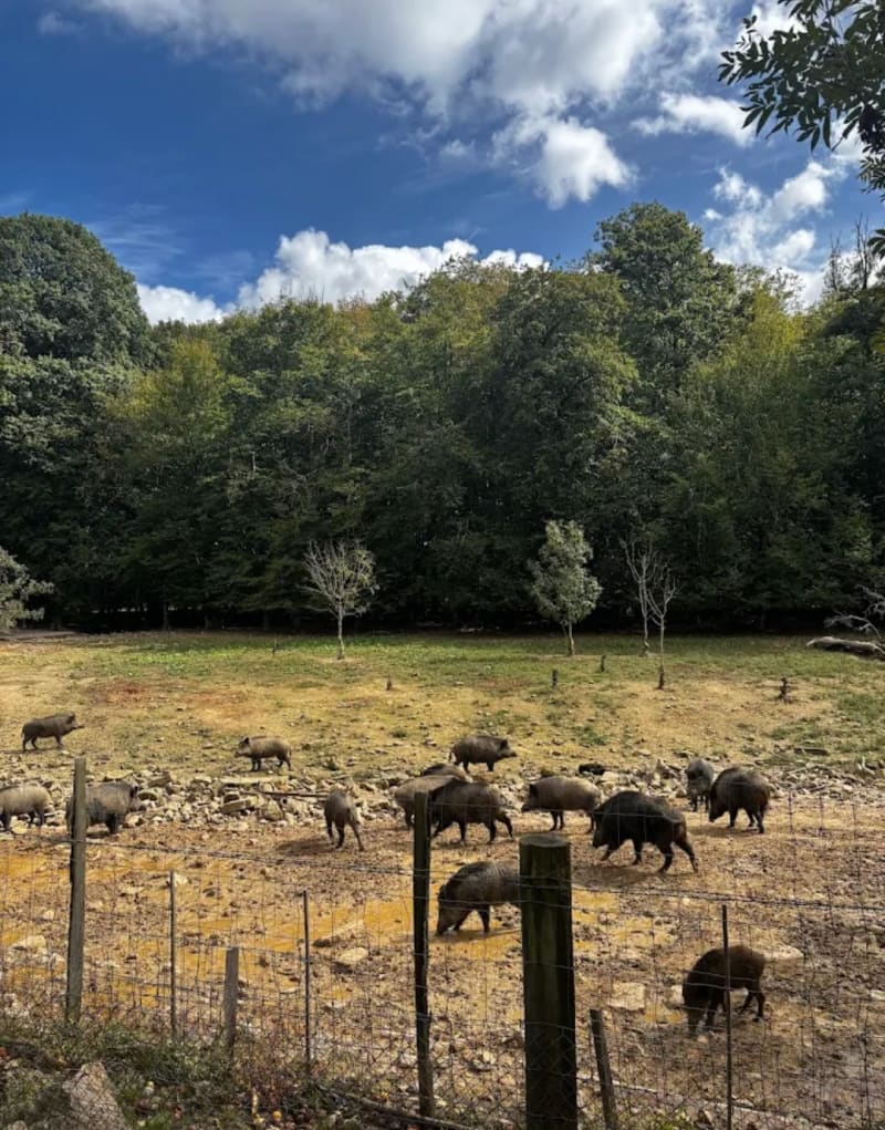 PARC DE VISION DU BANNEY